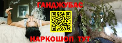 кокс Донской