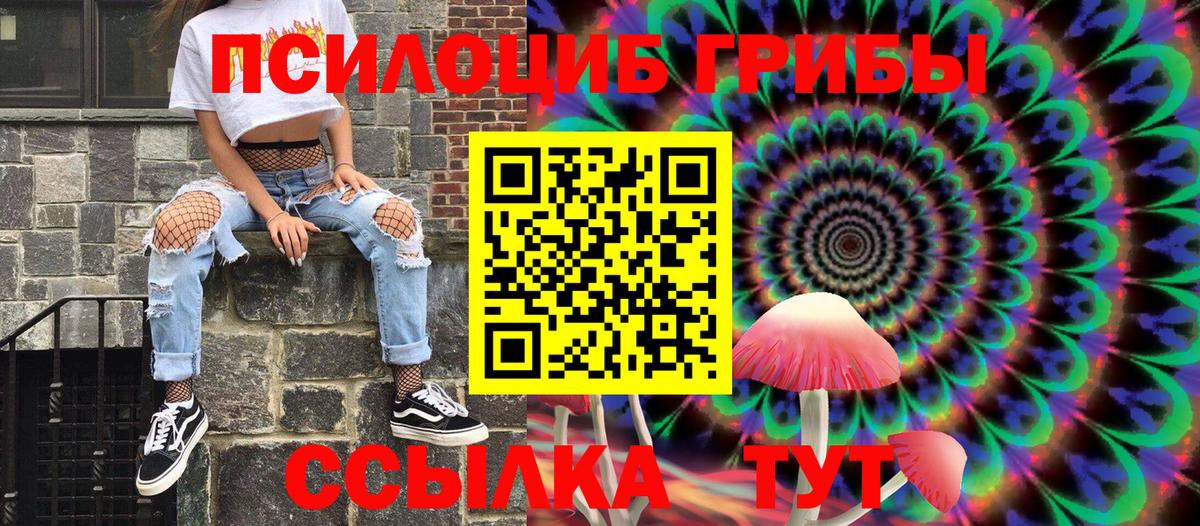 Псилоцибиновые грибы прущие грибы Кунгур