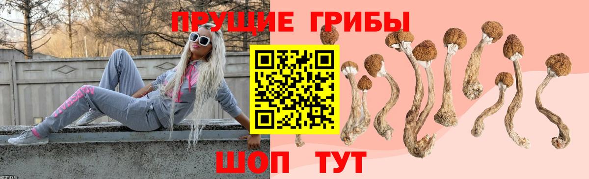 Кунгур  Псилоцибиновые грибы Magic Shrooms  Вход с VPN 